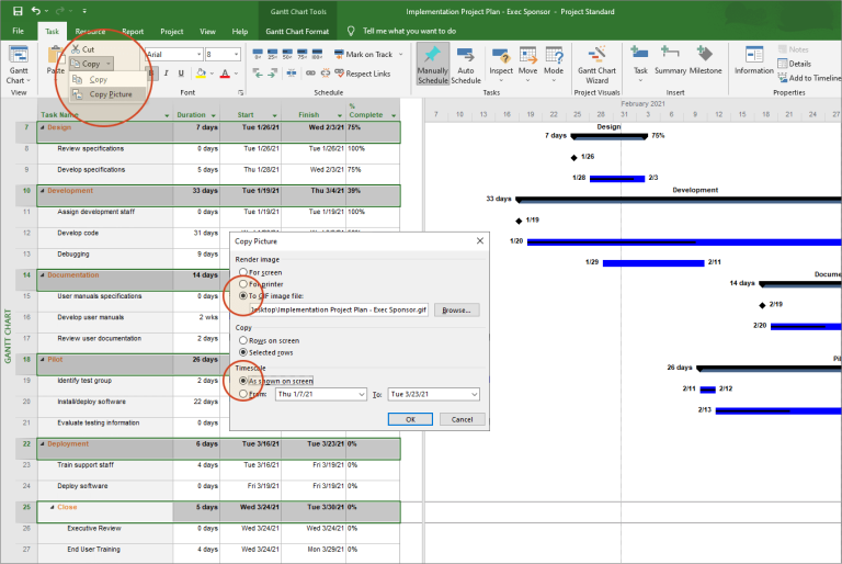How to present a MS Project Gantt chart in PowerPoint